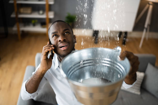 Best Residential water damage restoration  in Galena, IN
