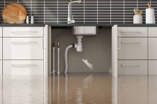 Best Basement water damage restoration  in Galena, IN