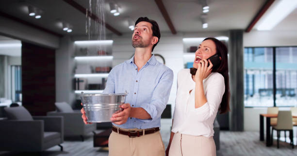 Best Flood restoration services  in Galena, IN